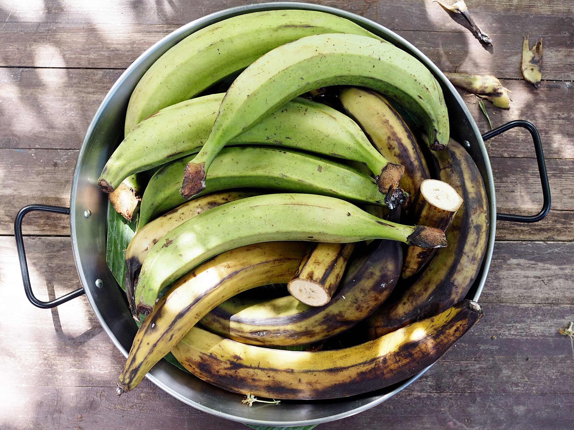 Tutustu 81+ imagen ruoka banaani