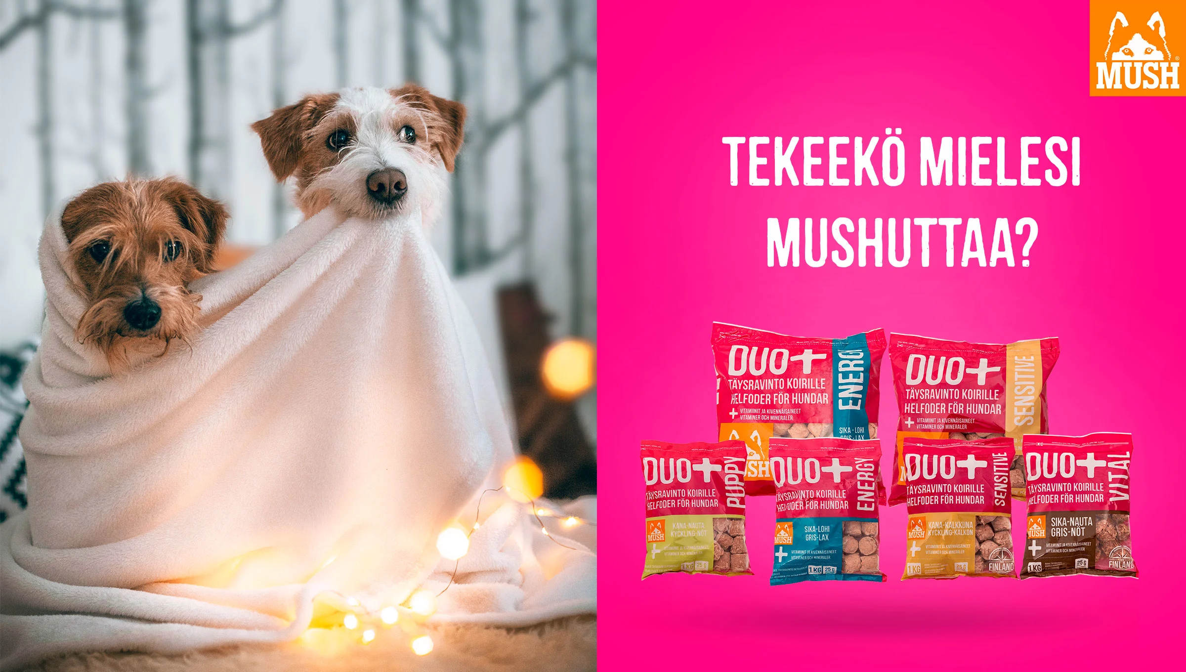 MUSH someaktivointi 1221 paakuva