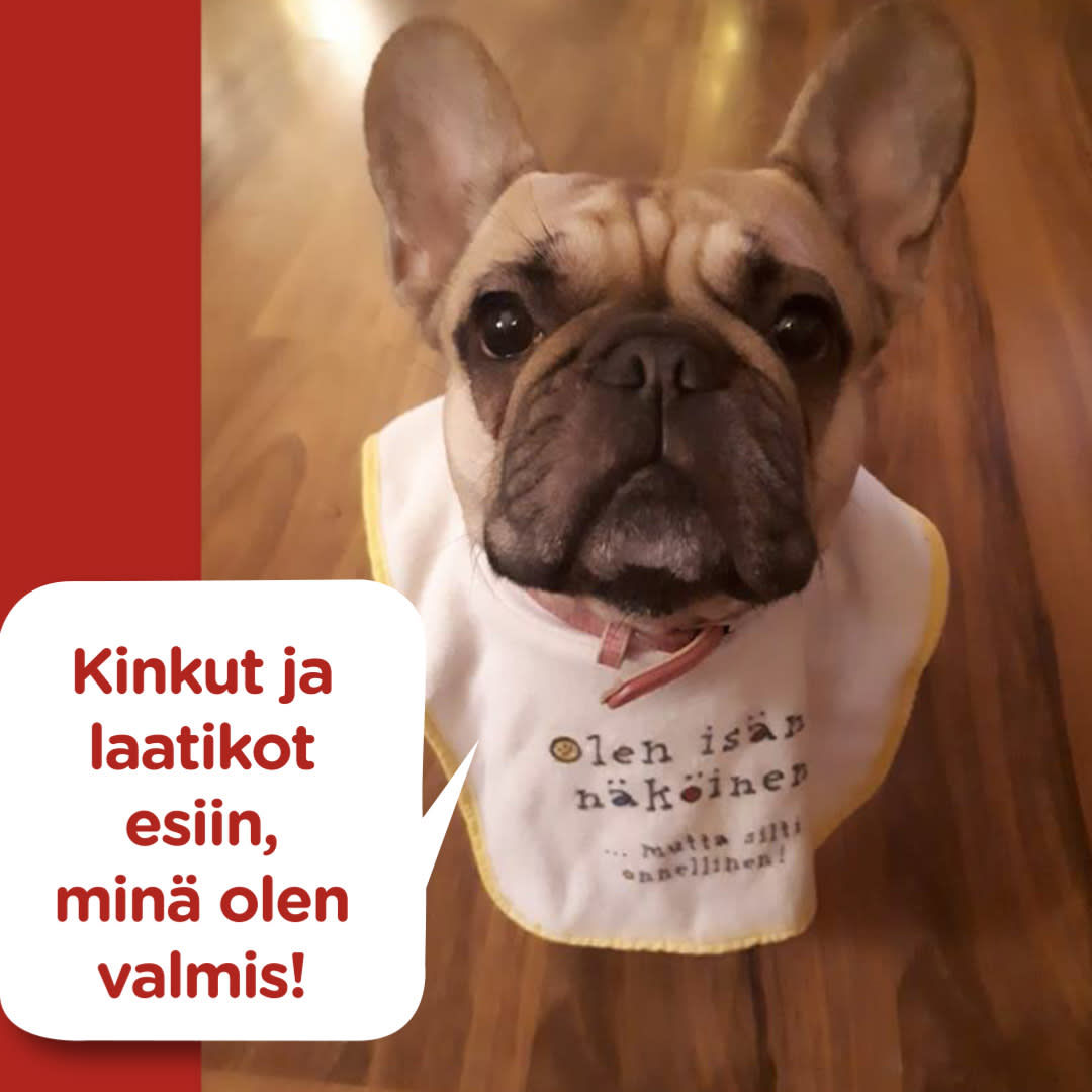 Koirajoulukalenteri luukku 18