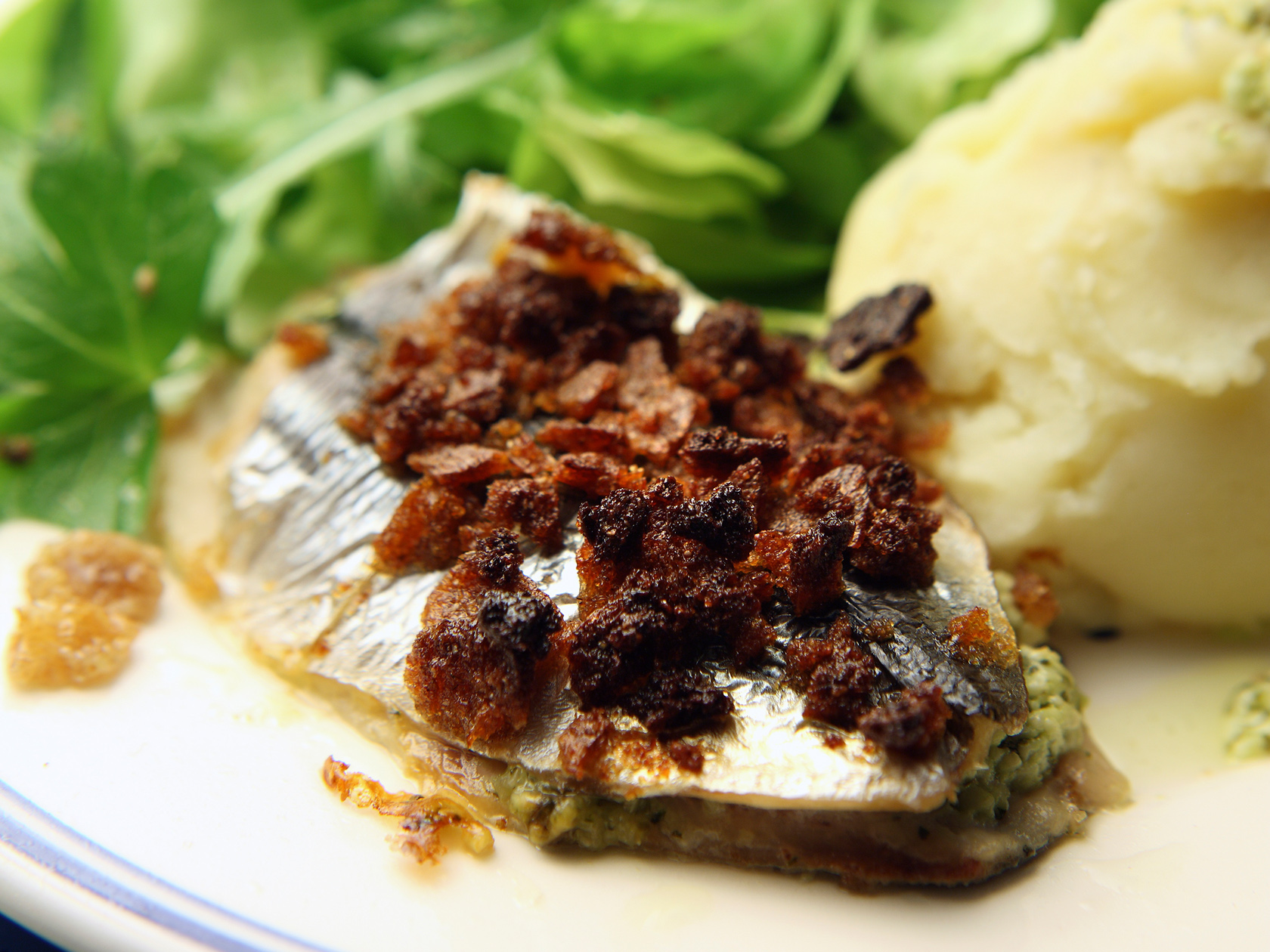 Kreikkalaiset silakat