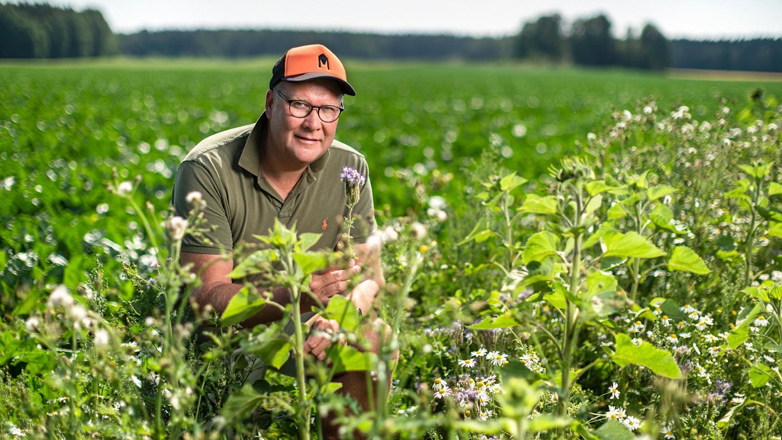 Mihin hävisivät öttiäiset ja pörriäiset, ihmettelee maanviljelijä