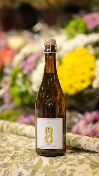 Leitz Lowrider Spark Blanc de Blanc 8 % -kuohuviini