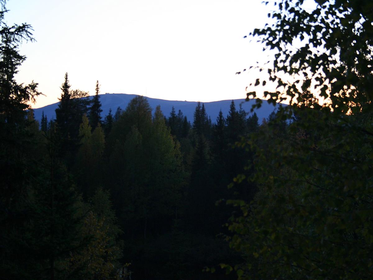 Pitkä valoitusaika