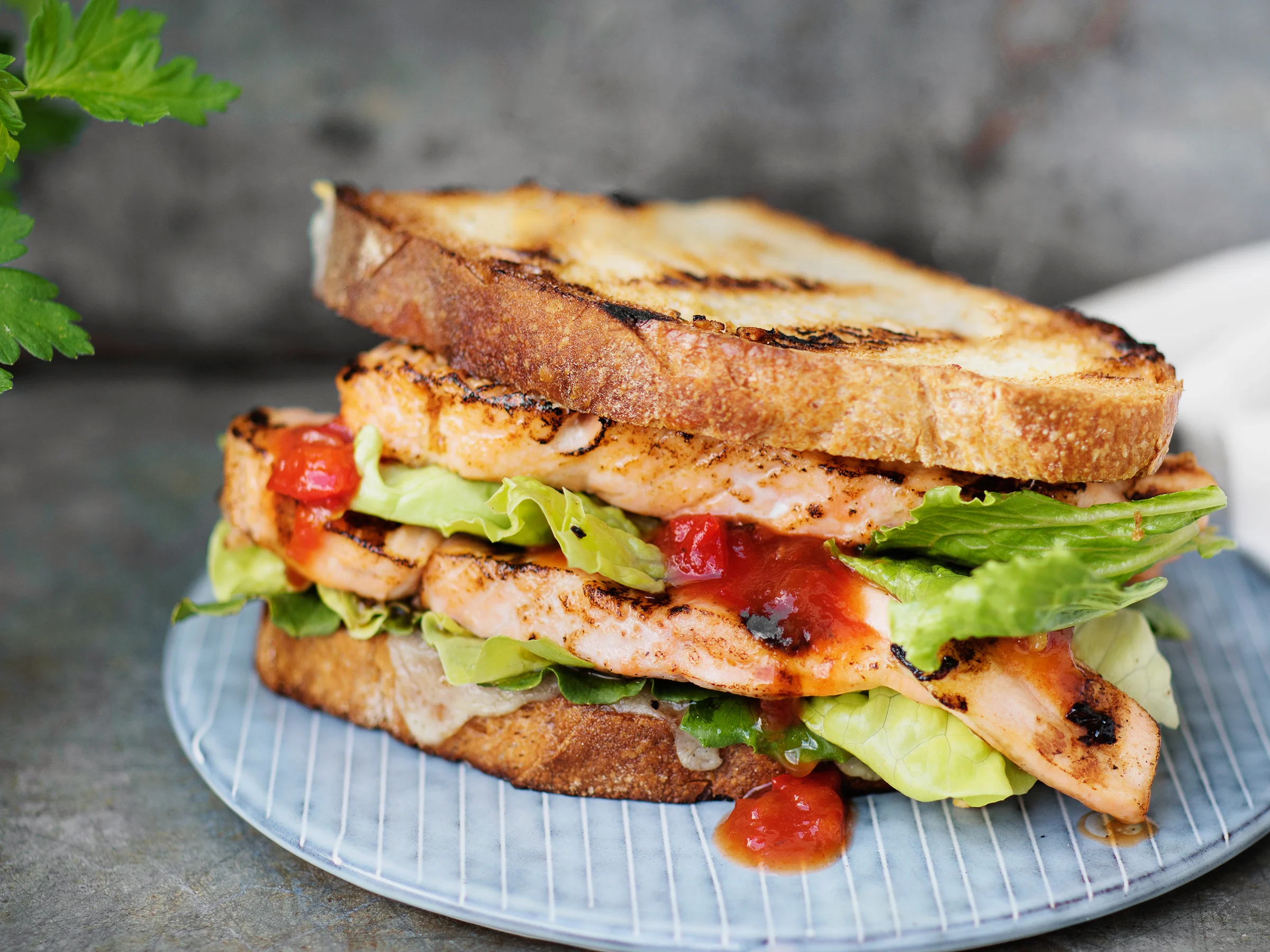 Grillattu lohileipä