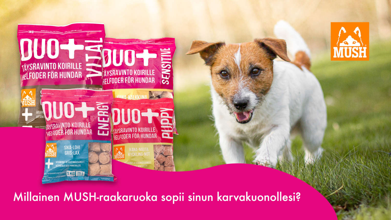 Millainen MUSH-raakaruoka sopii sinun koirallesi? Tee testi ja voita 100 eurolla koiranruokaa!