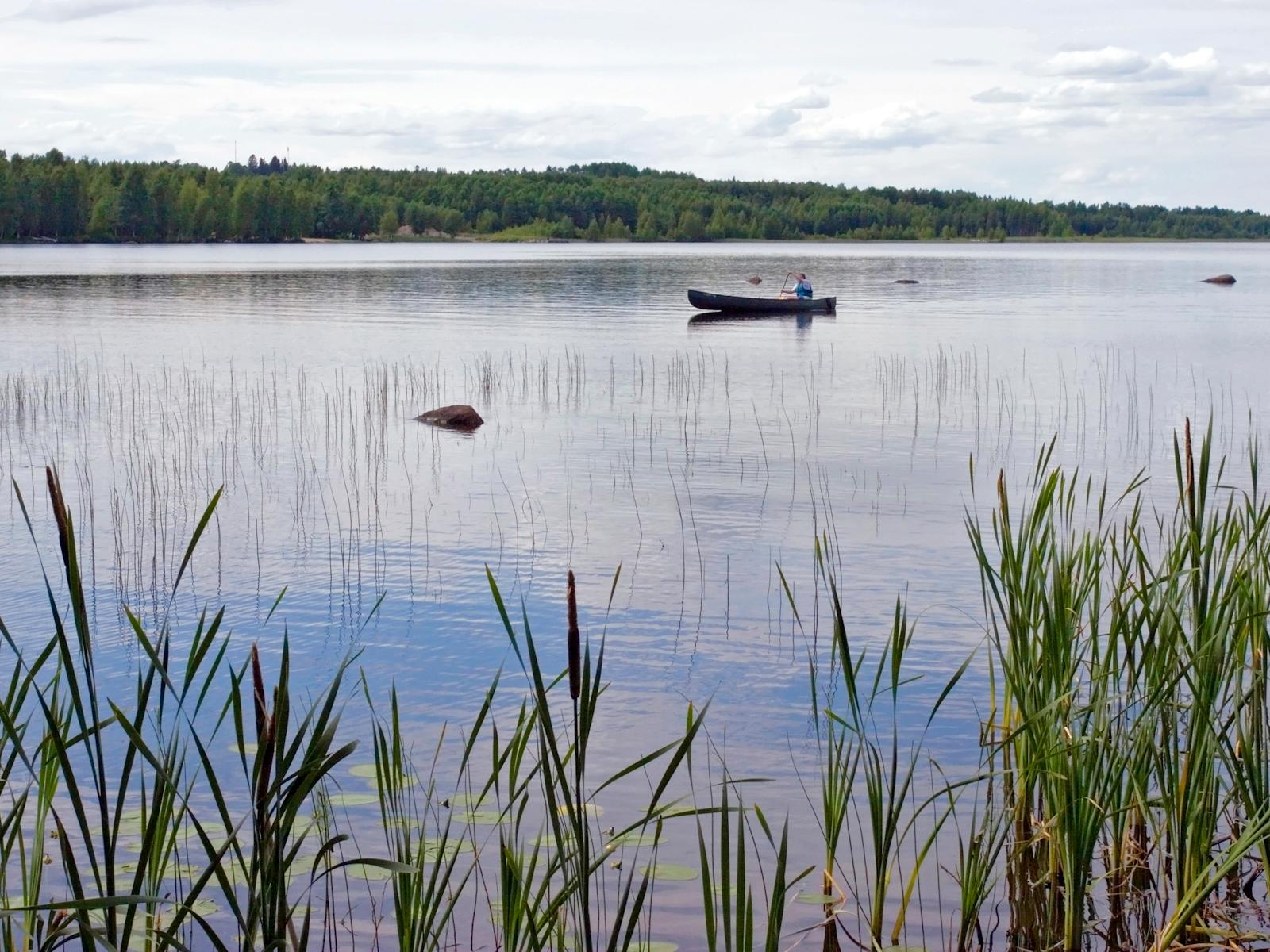Savon järvimaisemat