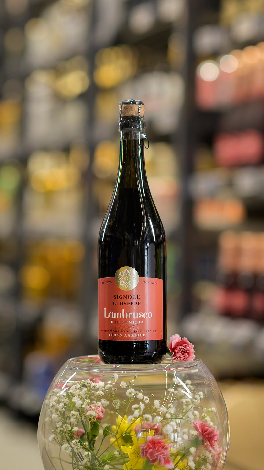 S Giuseppe Lambrusco Rosso, Lambrusco, Italia