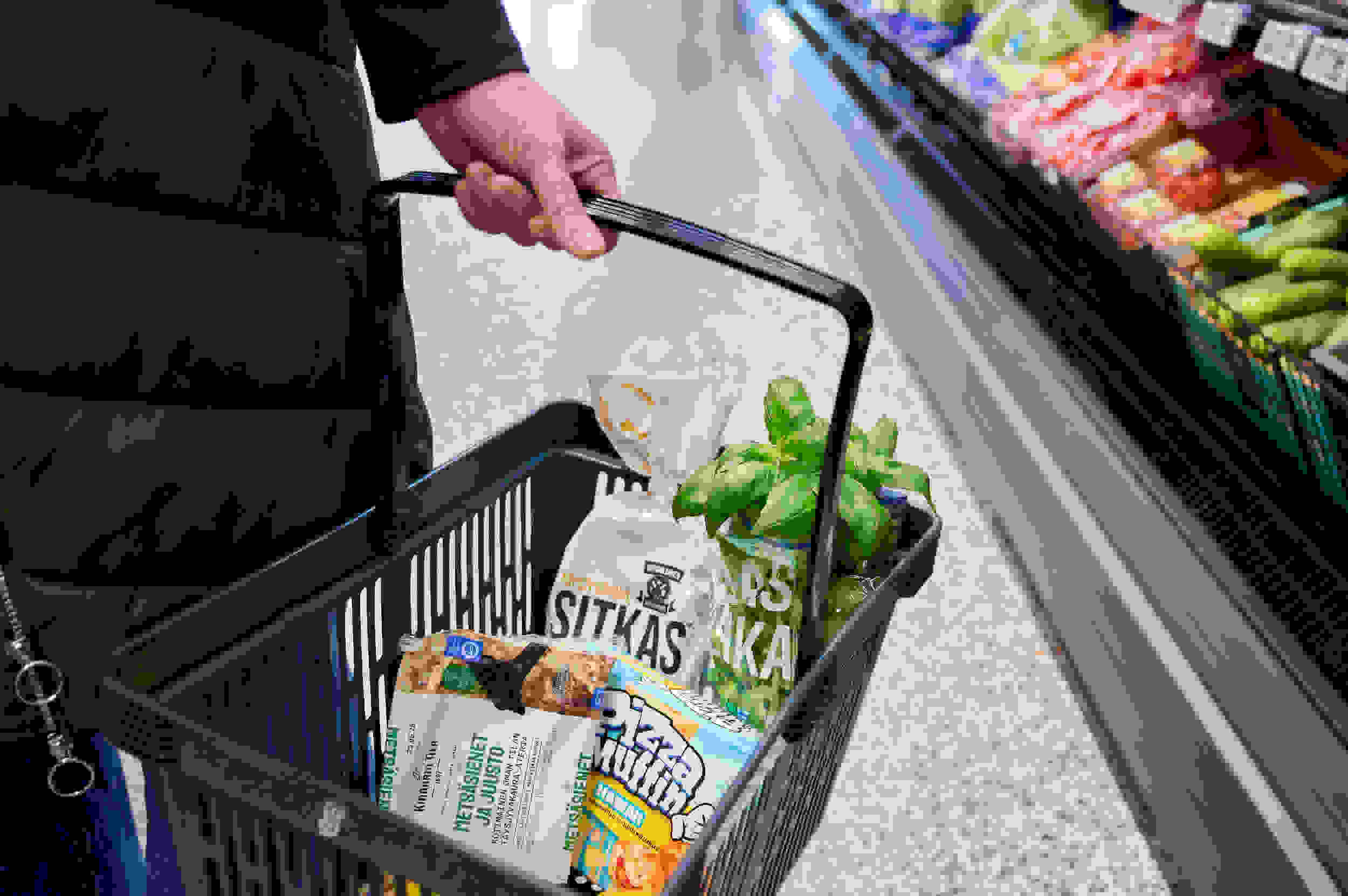 Kuva ostoskorista, jossa elintarvikkeita