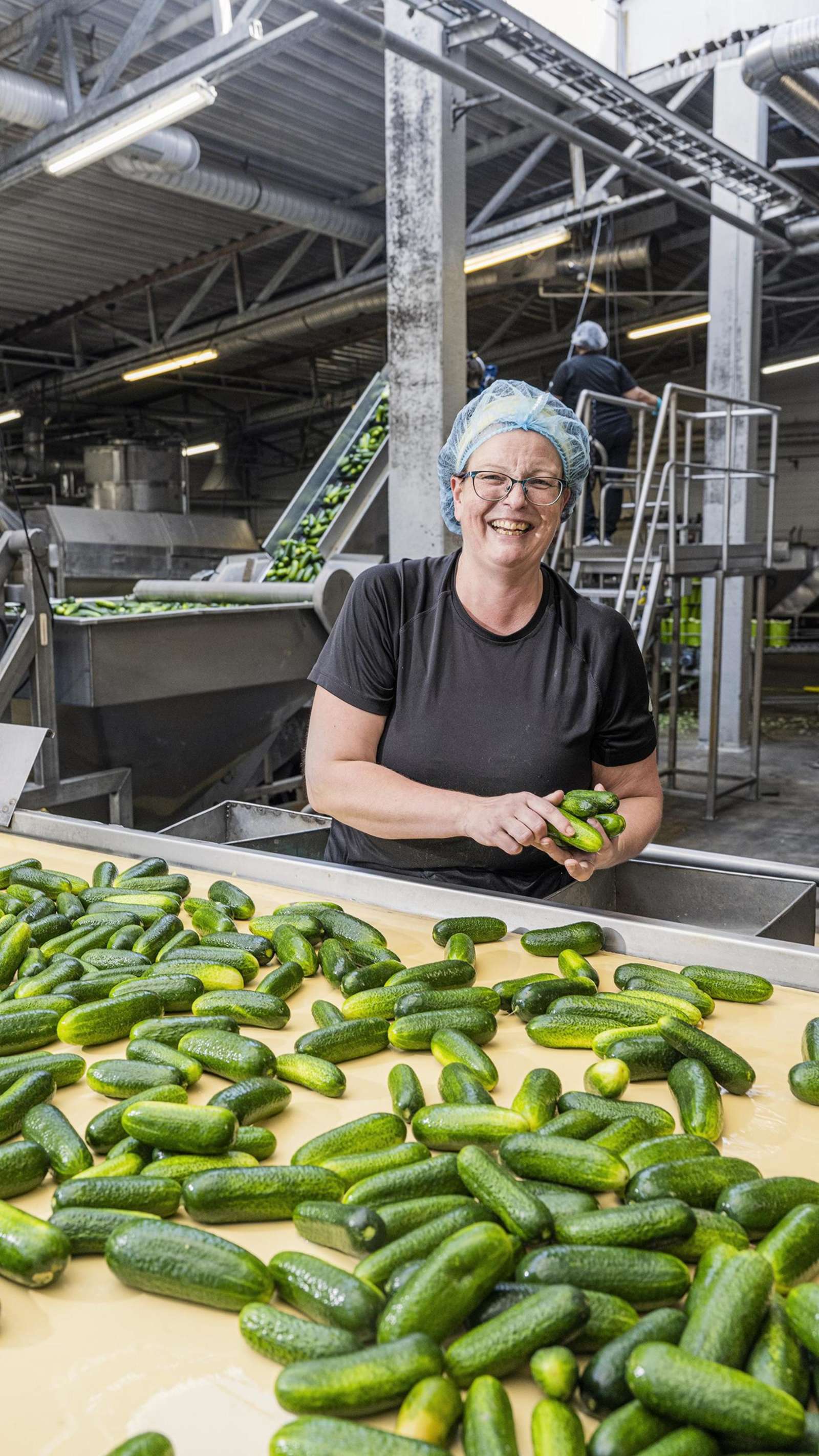 Avustava työnjohtaja Marja Palin lajittelee kurkkuja, vastaa kausityöntekijöiden perehdyttämisestä ja nauraa paljon.