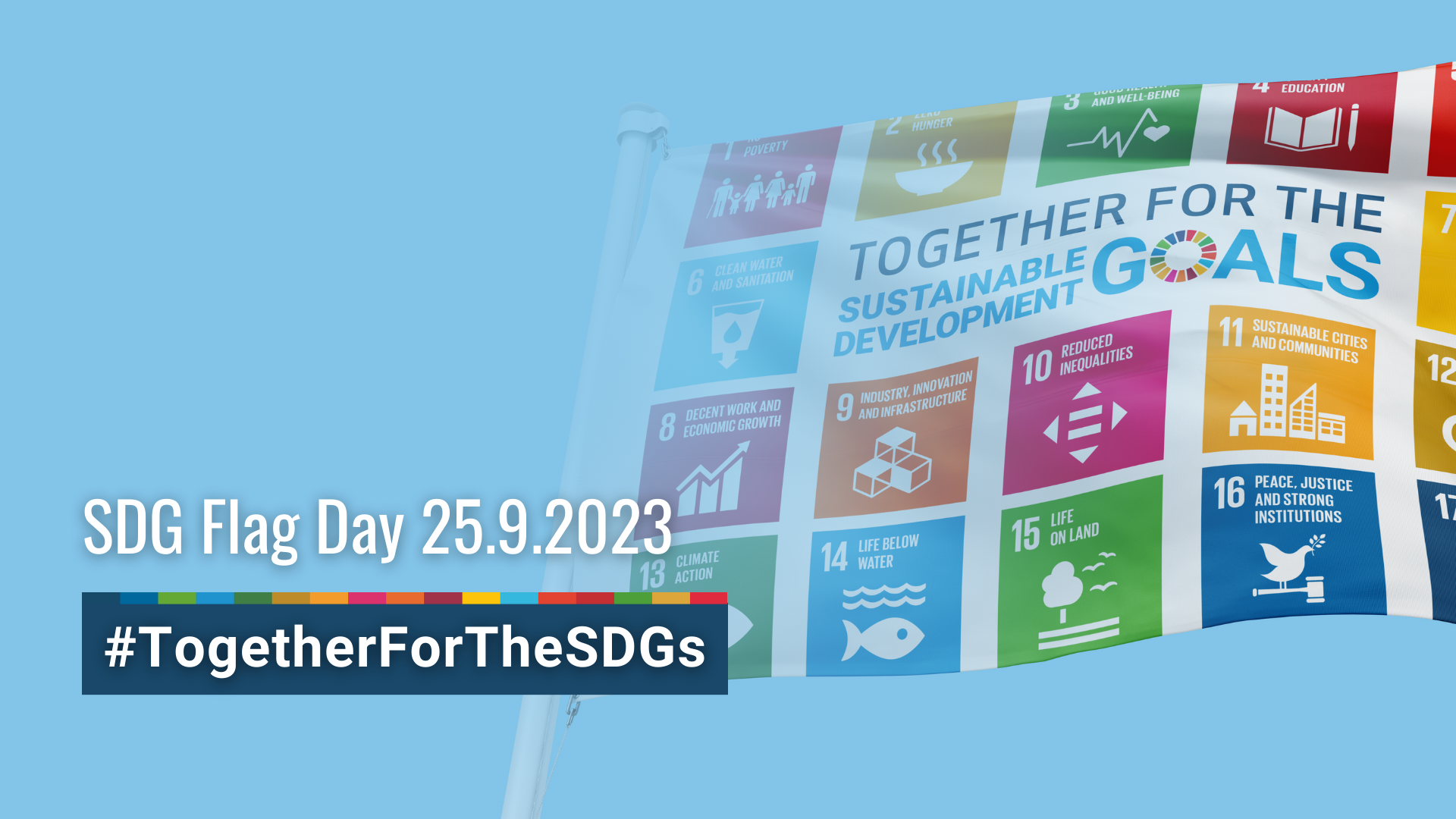 SDG Flag Day