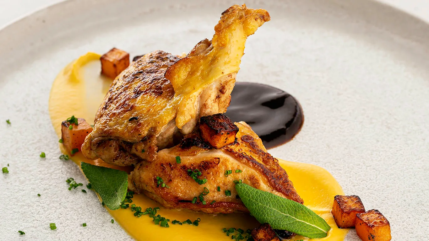 Maissikanan rintaa, kurpitsaa ja punaviinikastiketta