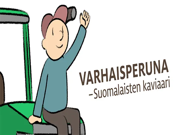 Varhaisperunan matka pellolta pöytään