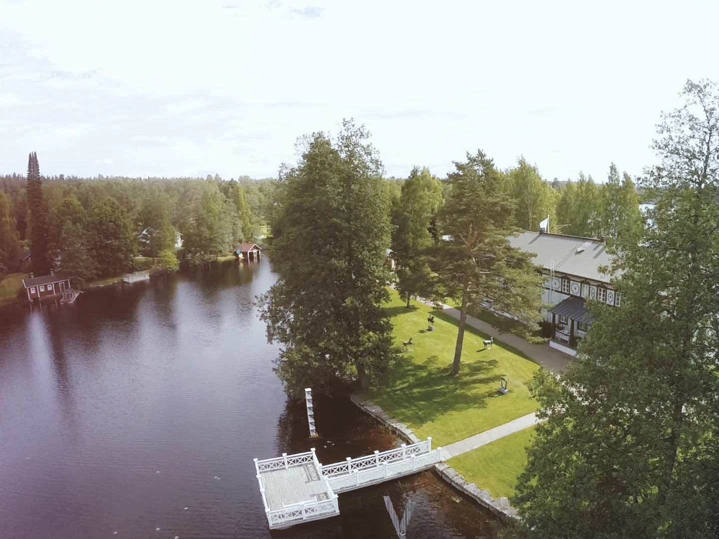 Koe Mäntyharjun kesä