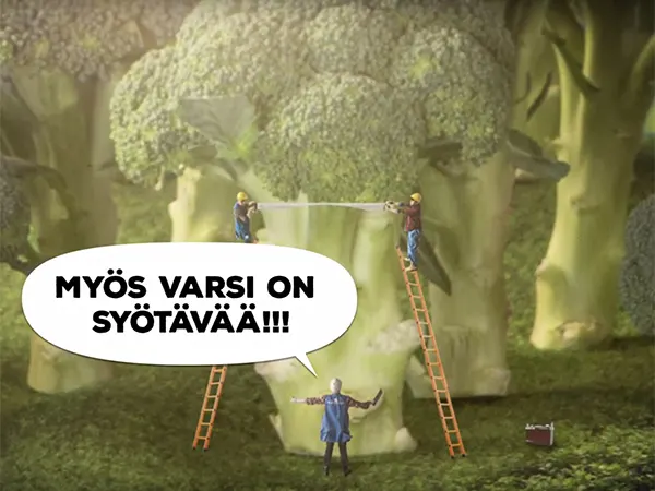 Käytä parsakaali kokonaan