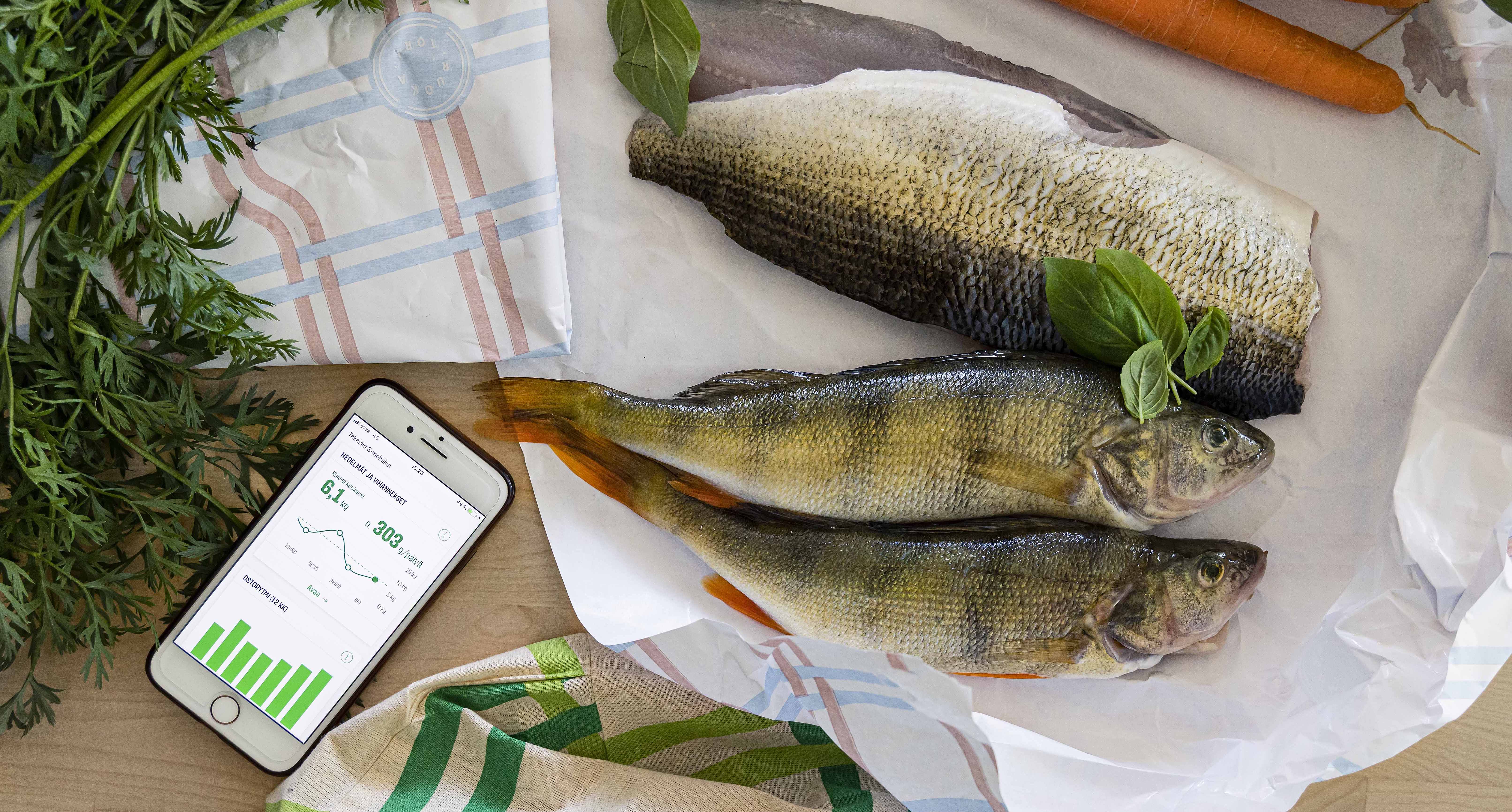 Kala-alan toimijat koolla: Miten lisää kotimaista kalaa kuluttajan  lautaselle? - S-ryhmä