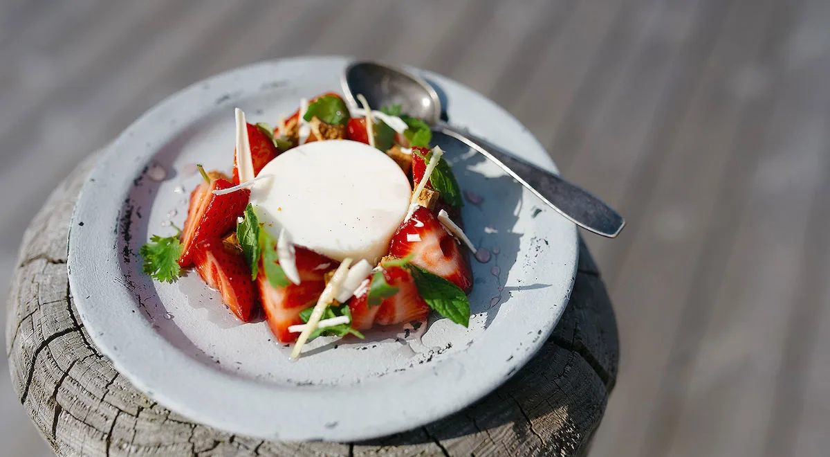 Jogurttipannacotta ja thai-mansikkasalaatti