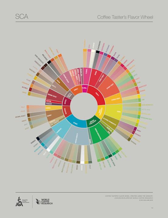 Kahvin makuympyrä. Coffee Flavor Wheel (Specialty Coffee Association 2016). 