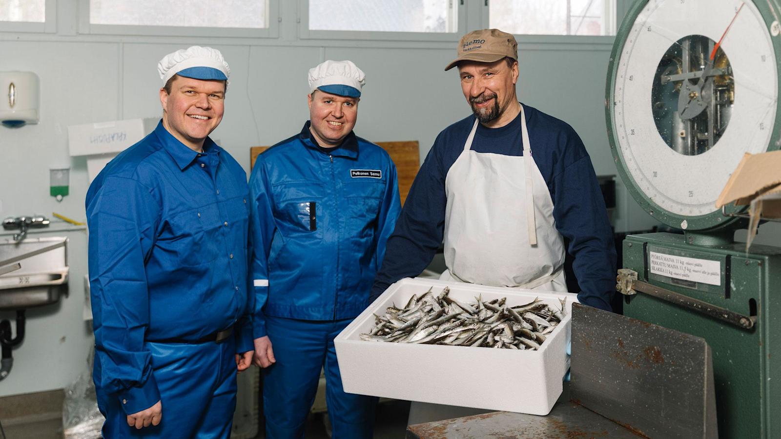 Matti Isohätälä, Samu Pelkonen ja Lauri Halonen ovat kaikki tärkeitä henkilöitä ketjussa, jonka ansiosta suomalaiset saavat tuoreita muikkuja lähikaupastaan.