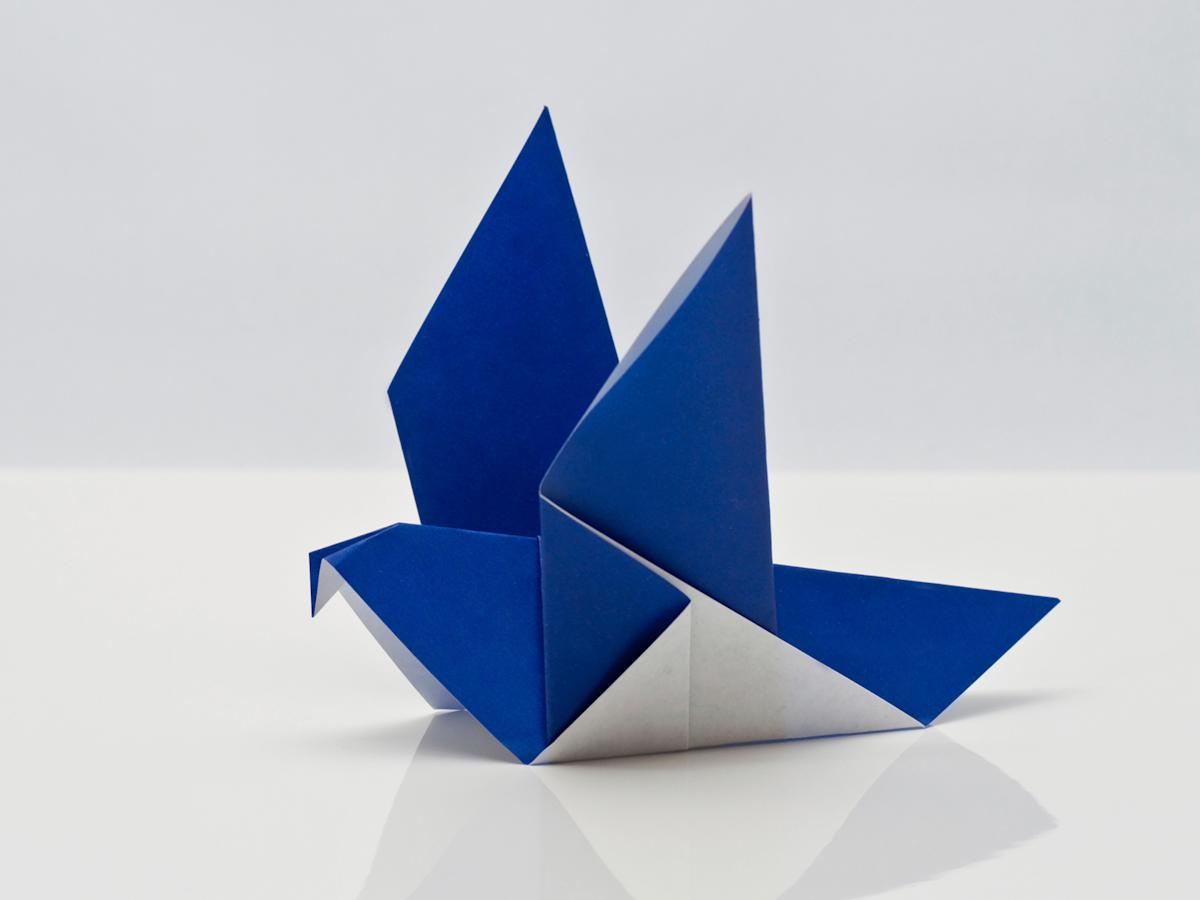 Puluorigami
