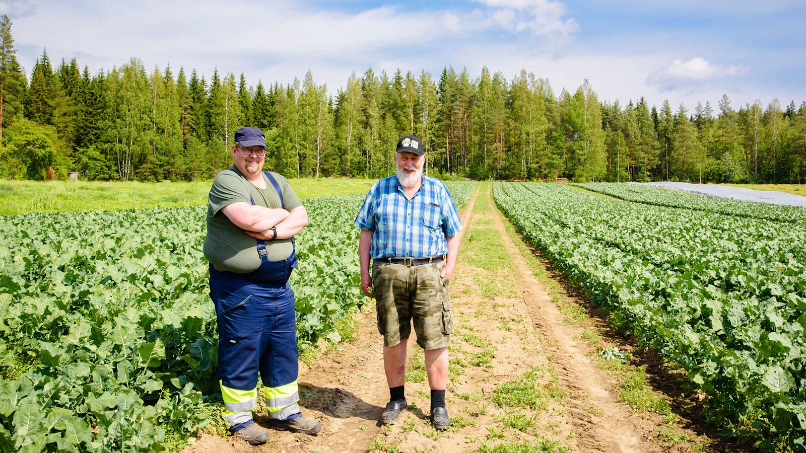 Viljelijät pellolla