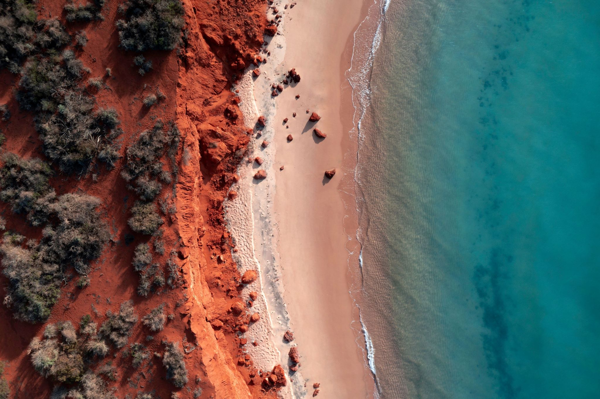 Aerial view of the beach on a tour with Wula Gura Nyinda Eco Cultural Adventures, Shark Bay, WA
