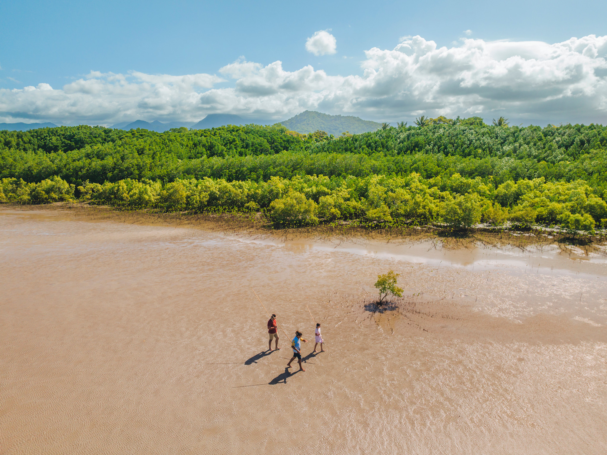 Exploring the mangroves around Cooya Beach with Walkabout Cultural Adventures, Queensland © Tourism Australia