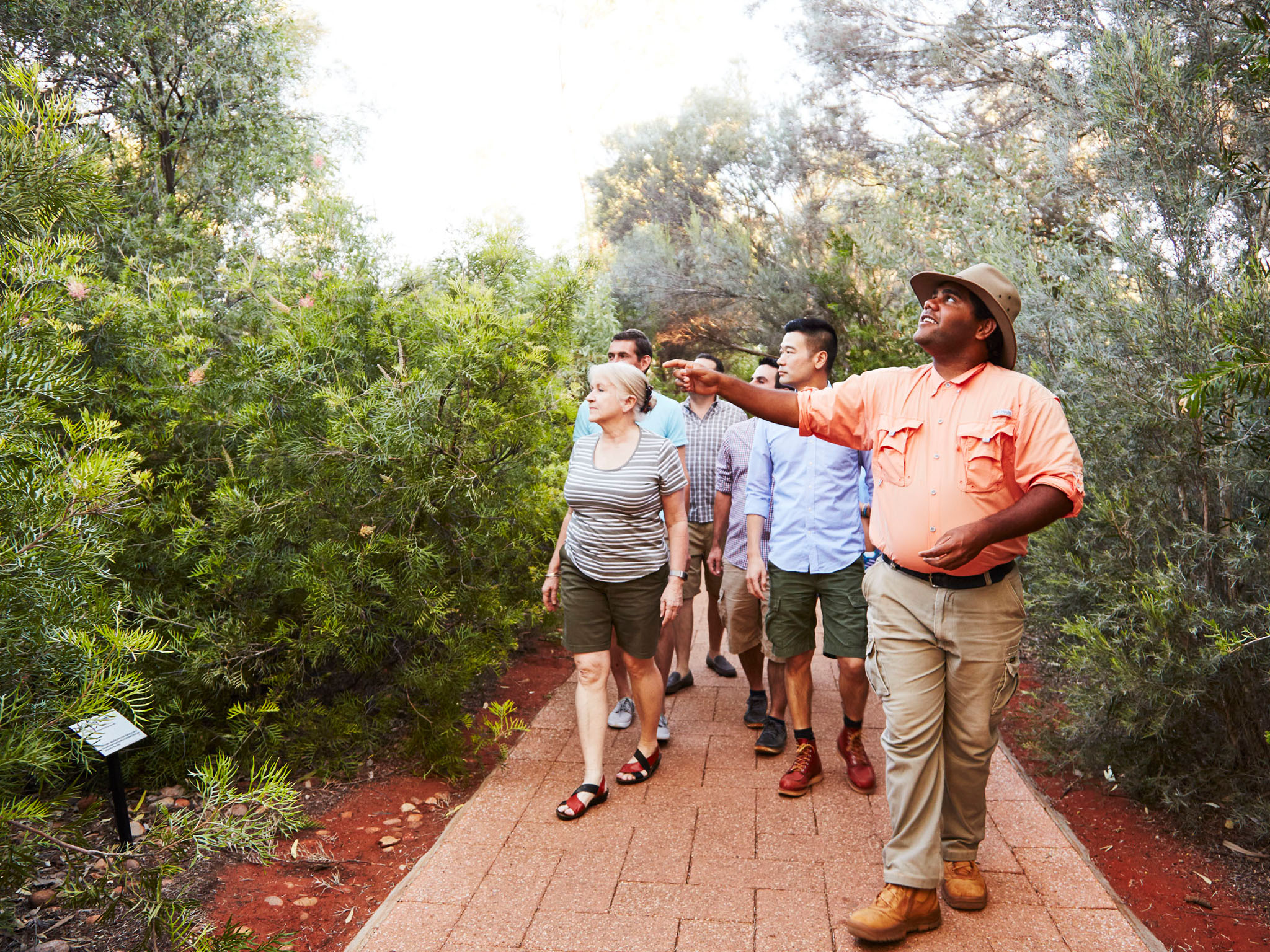 Uluru Alice Springs   1. Garden Walk Voyages Indigenous Tourism Ayers Rock Resort Nt 660890 56 