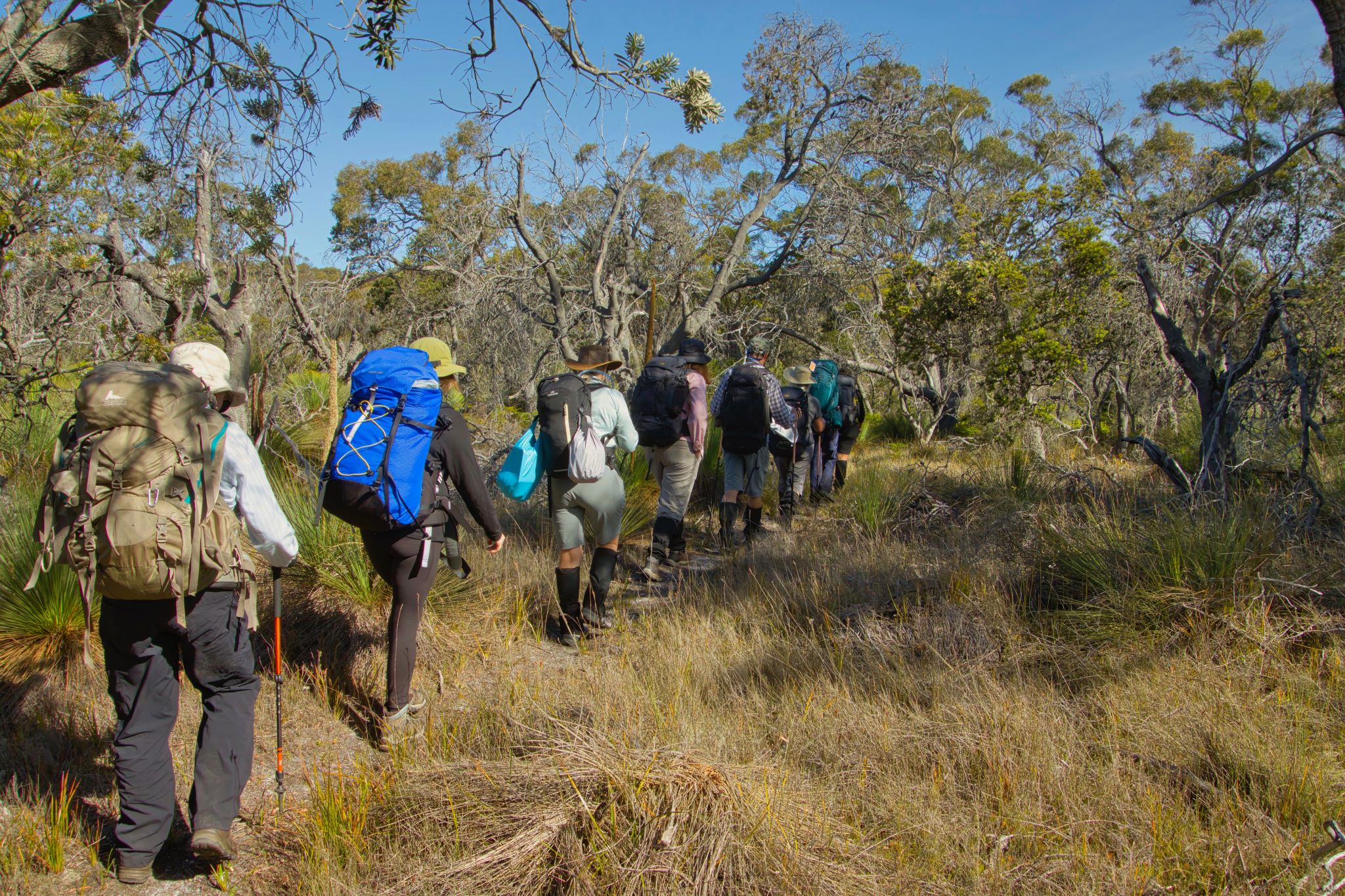 Hikers on wukalina Walk, Bay of Fires / larapuna, Tasmania © Tourism Australia