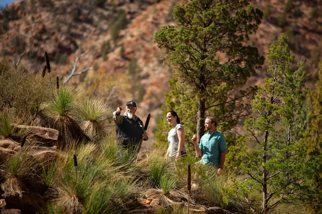 Bush & Outback Adventures