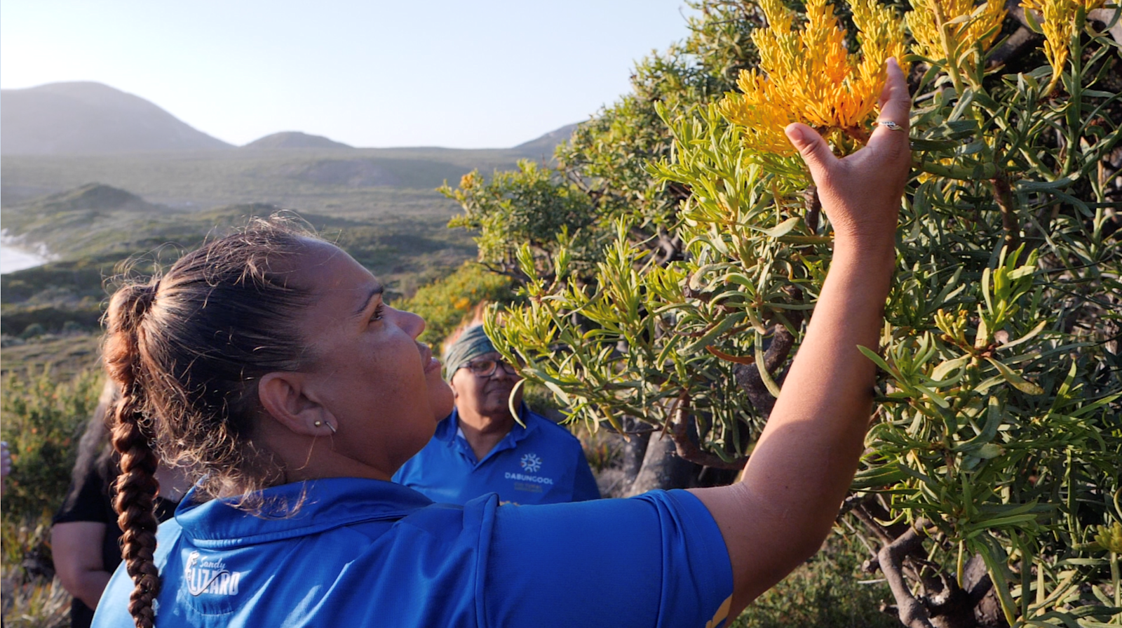 Discovering bush foods with Dabungool Cultural Experiences, Esperance / Kepa Kurl, Western Australia © Dabungool Cultural Experiences