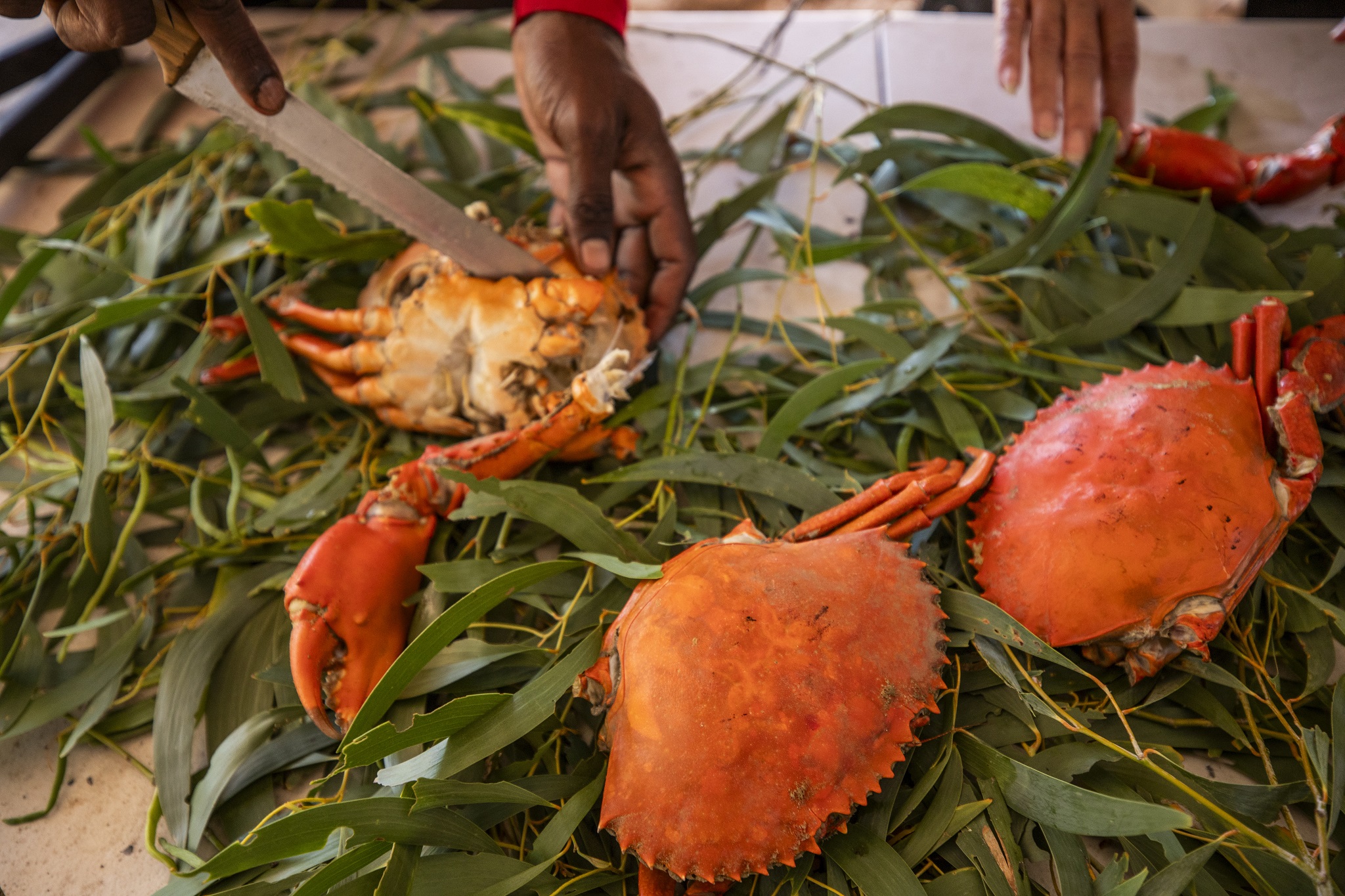 Cooking up a foraged mud-crab feast on a tour with Southern Cross Cultural Tours at Lullumb in Western Australia © Tourism Australia