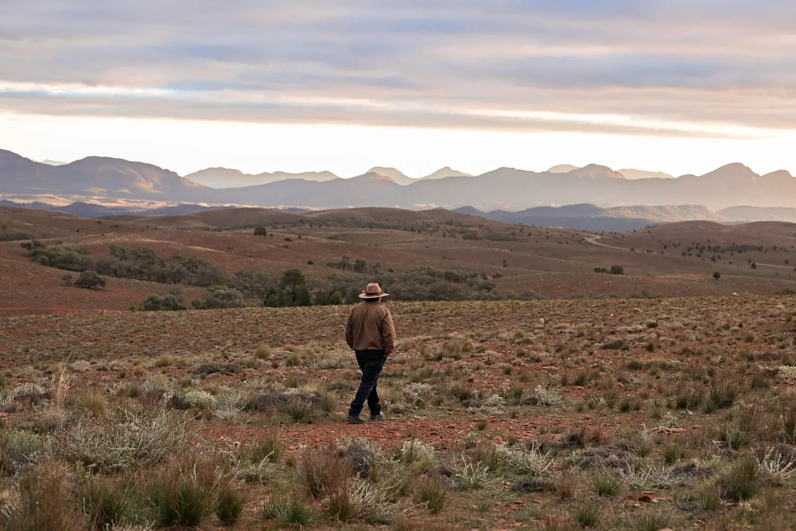 Wadna, Flinders Ranges, South Australia