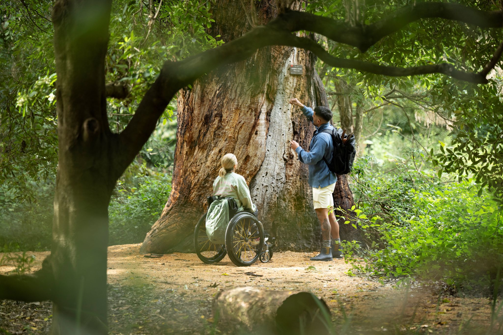 Accessibly tour of Adelaide Botanic Gardens with Bookabee Australia, Tarntanya / Adelaide, South Australia © Bookabee Australia