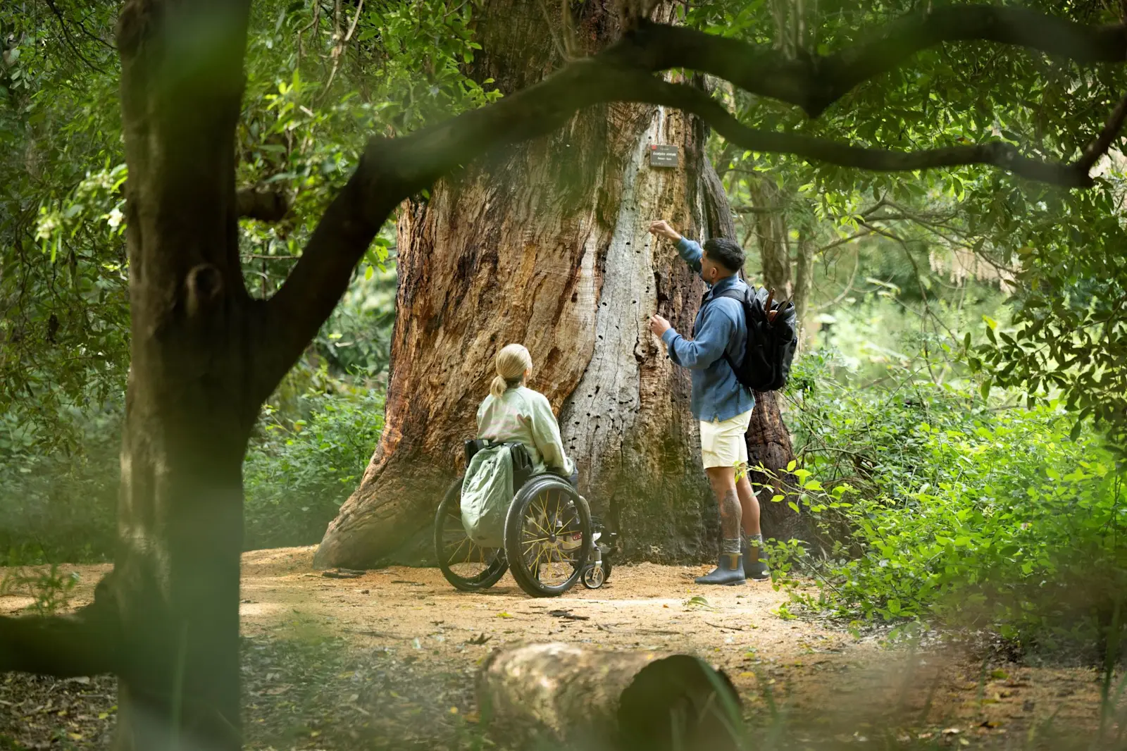 Accessibly tour of Adelaide Botanic Gardens with Bookabee Australia, Tarntanya / Adelaide, South Australia © Bookabee Australia