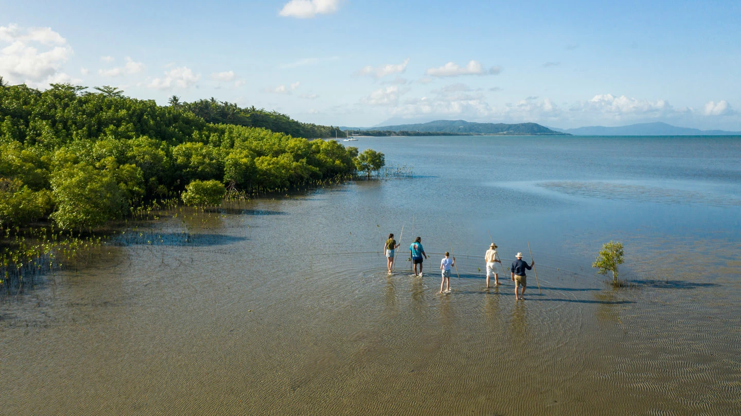 Down Under Tours - Daintree Dreaming, Port Douglas, Queensland © Tourism Australia