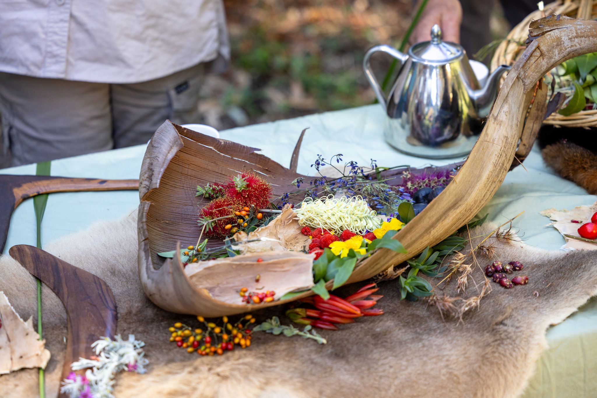 Bush Tucker Experience, The Royal Botanic Garden Sydney, NSW © RBGS