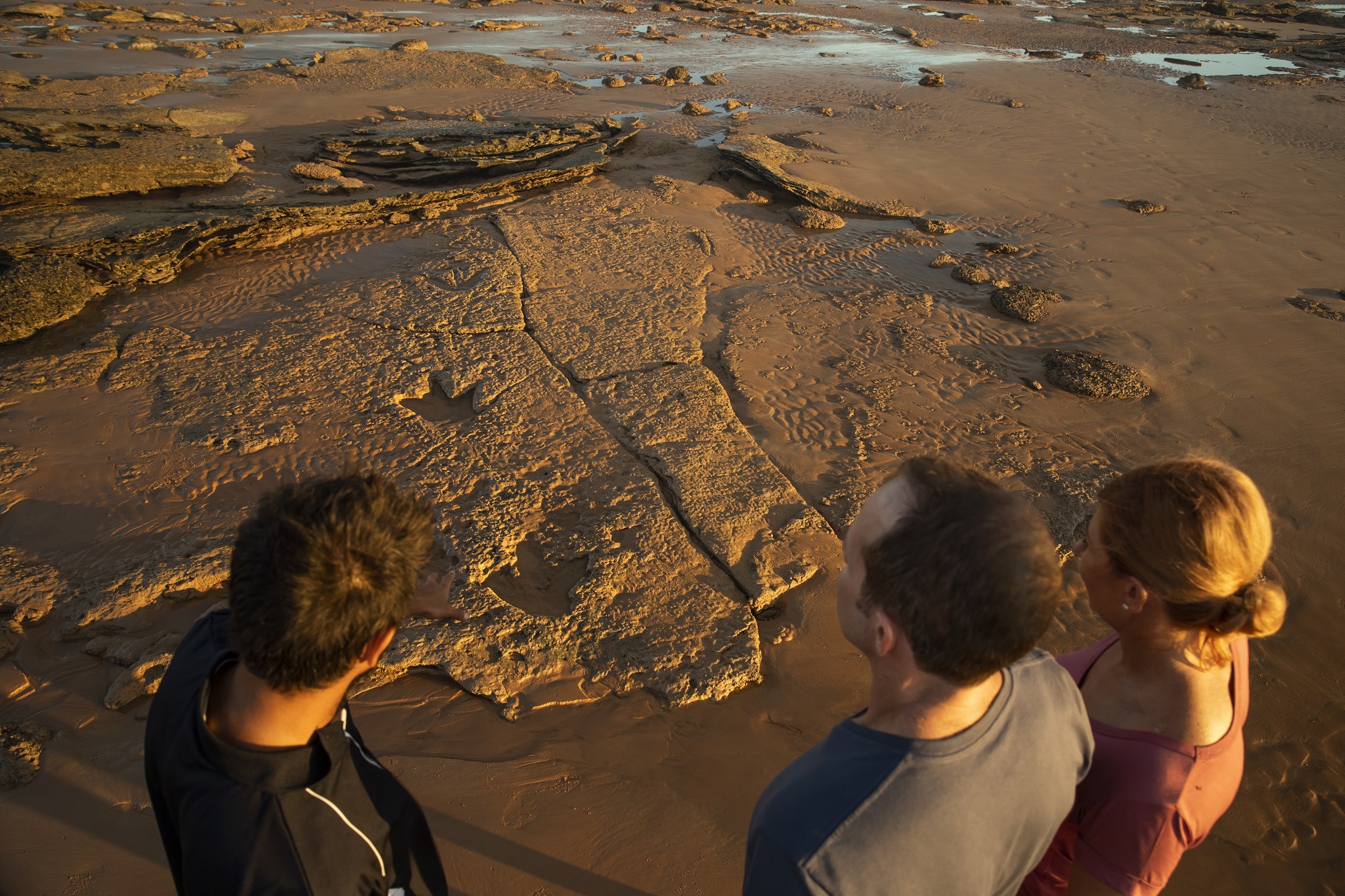 Dinosaur footprint, Narlijia Experiences, Broome, WA © Tourism Australia