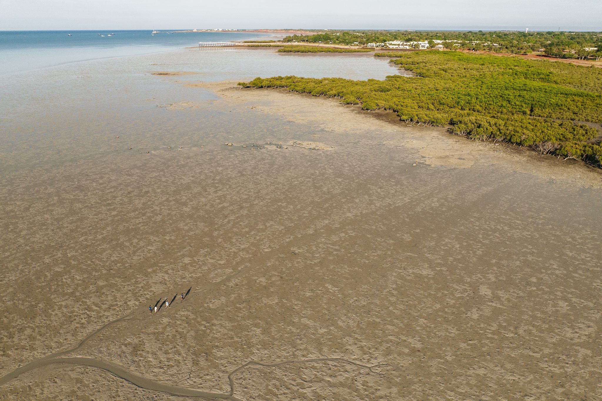 Mangrove Discovery Experience, Narlijia Experiences, Broome, WA © Tourism Australia