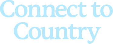 Connect to Country Logo