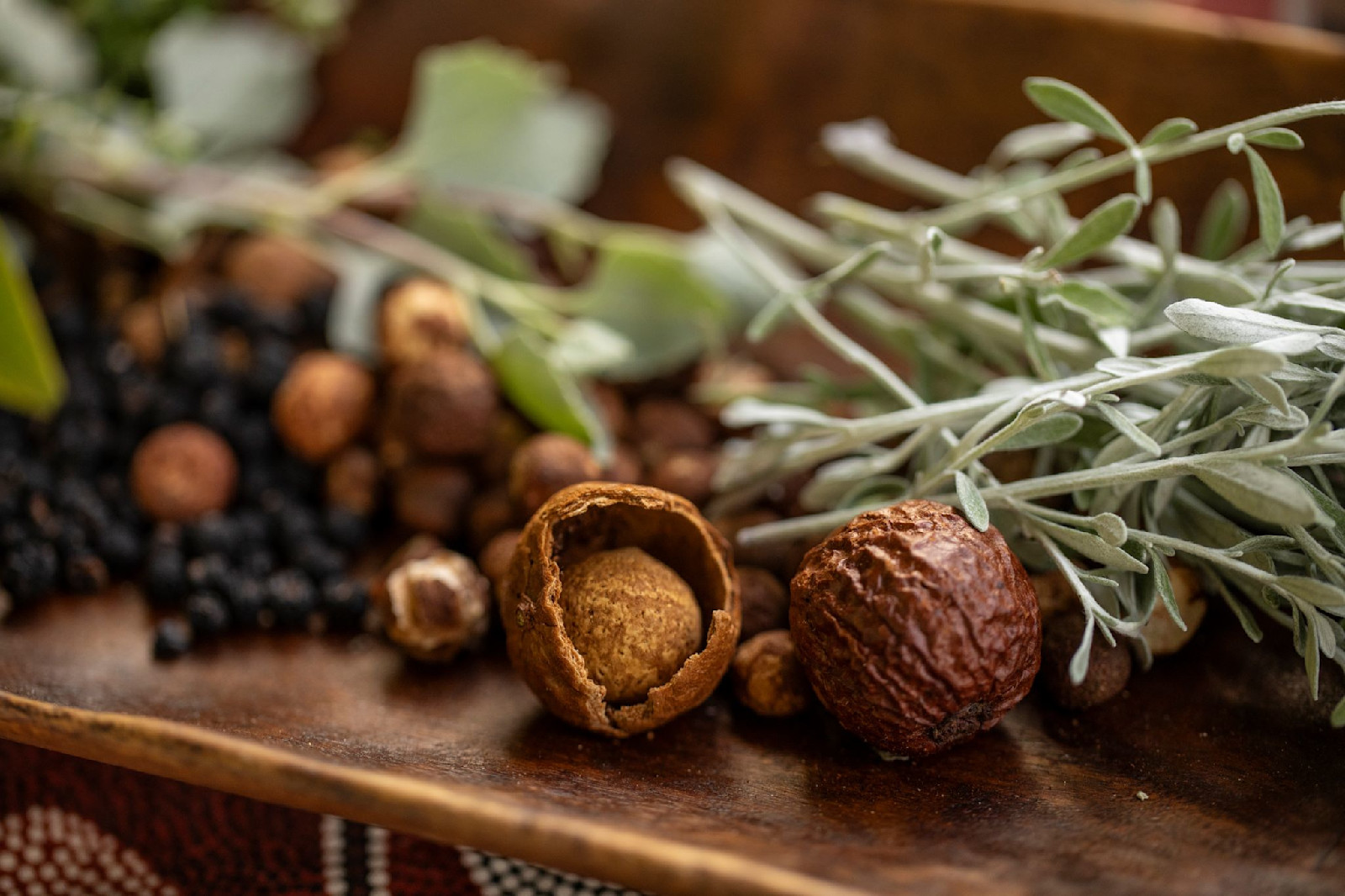 Native bush foods, Dale Tilbrook Experiences, Mandoon Estate, Swan Valley, Western Australia © Tourism Australia