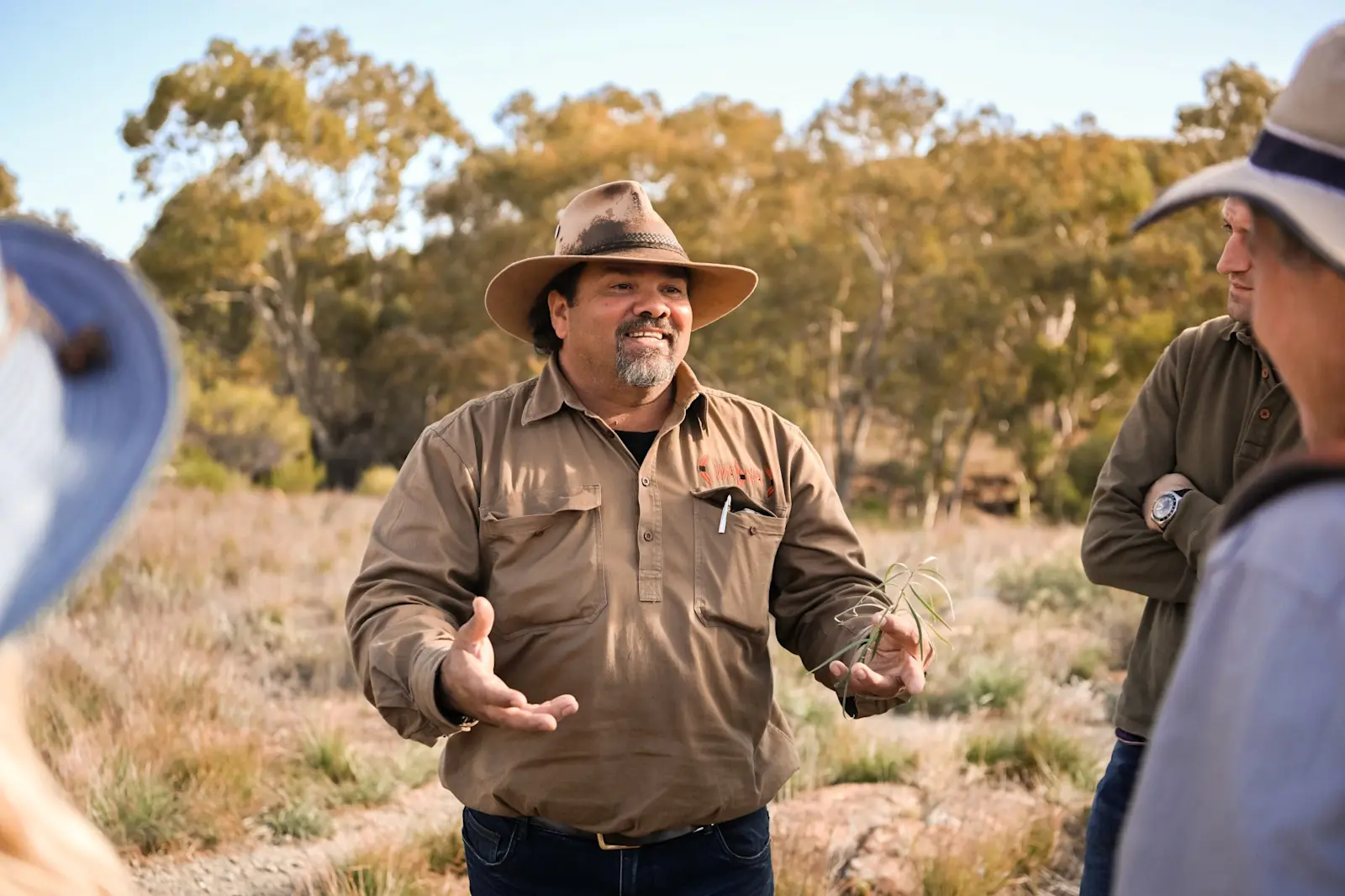 Wadna, Flinders Ranges, South Australia