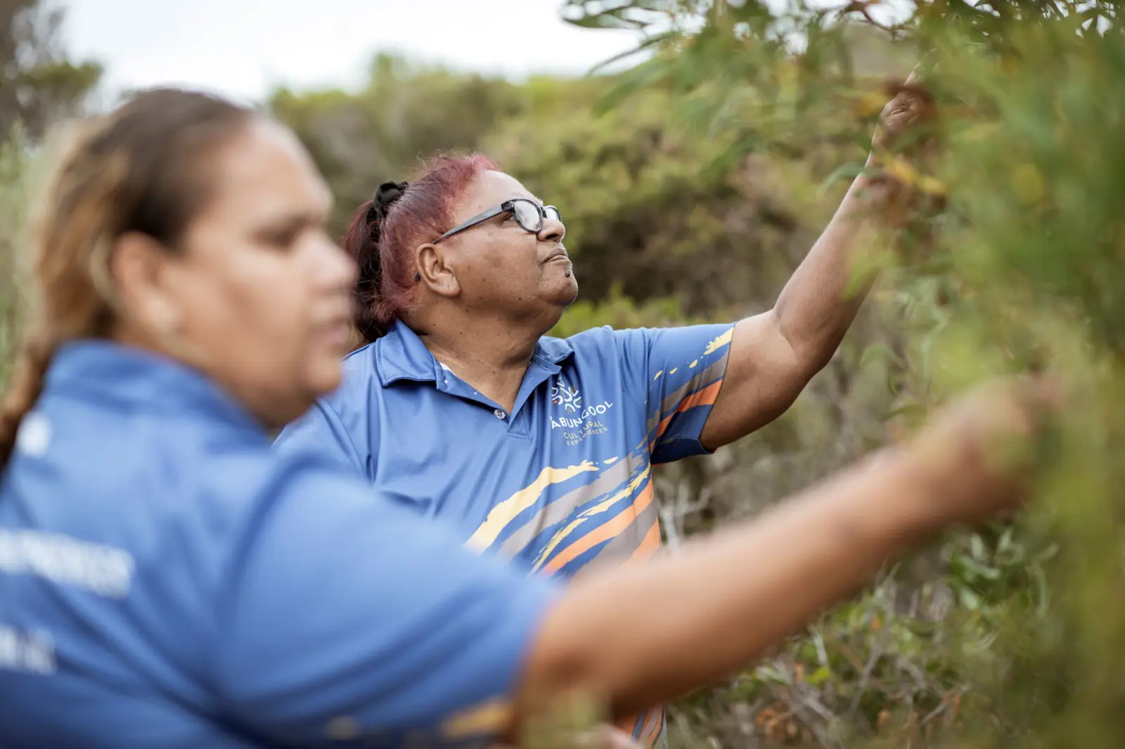 Discover bushfoods with a guide from Dabungool Cultural Experiences, Esperance / Kepa Kurl, Western Australia © Dabungool Cultural Experiences
