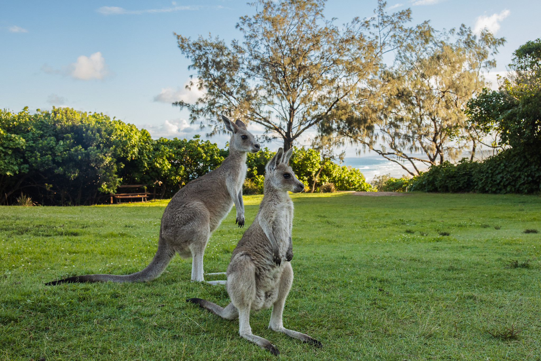 Yura Tours,  Minjerribah/North Stradbroke Island, Queensland © Tourism Australia 