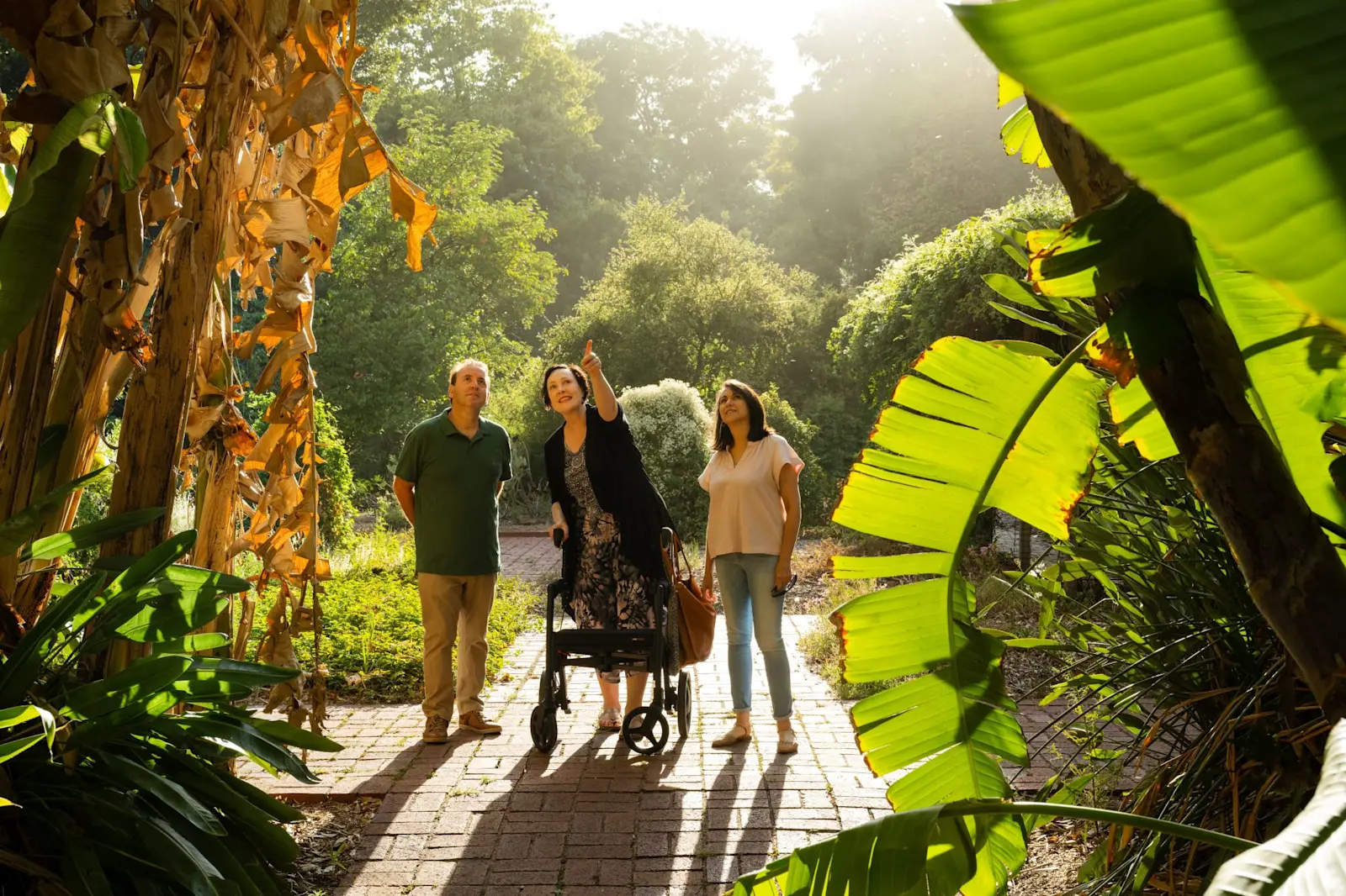 Botanical Gardens Native Plants and Social History Tour, Adelaide / Tarntanya, South Australia  © Bookabee Australia