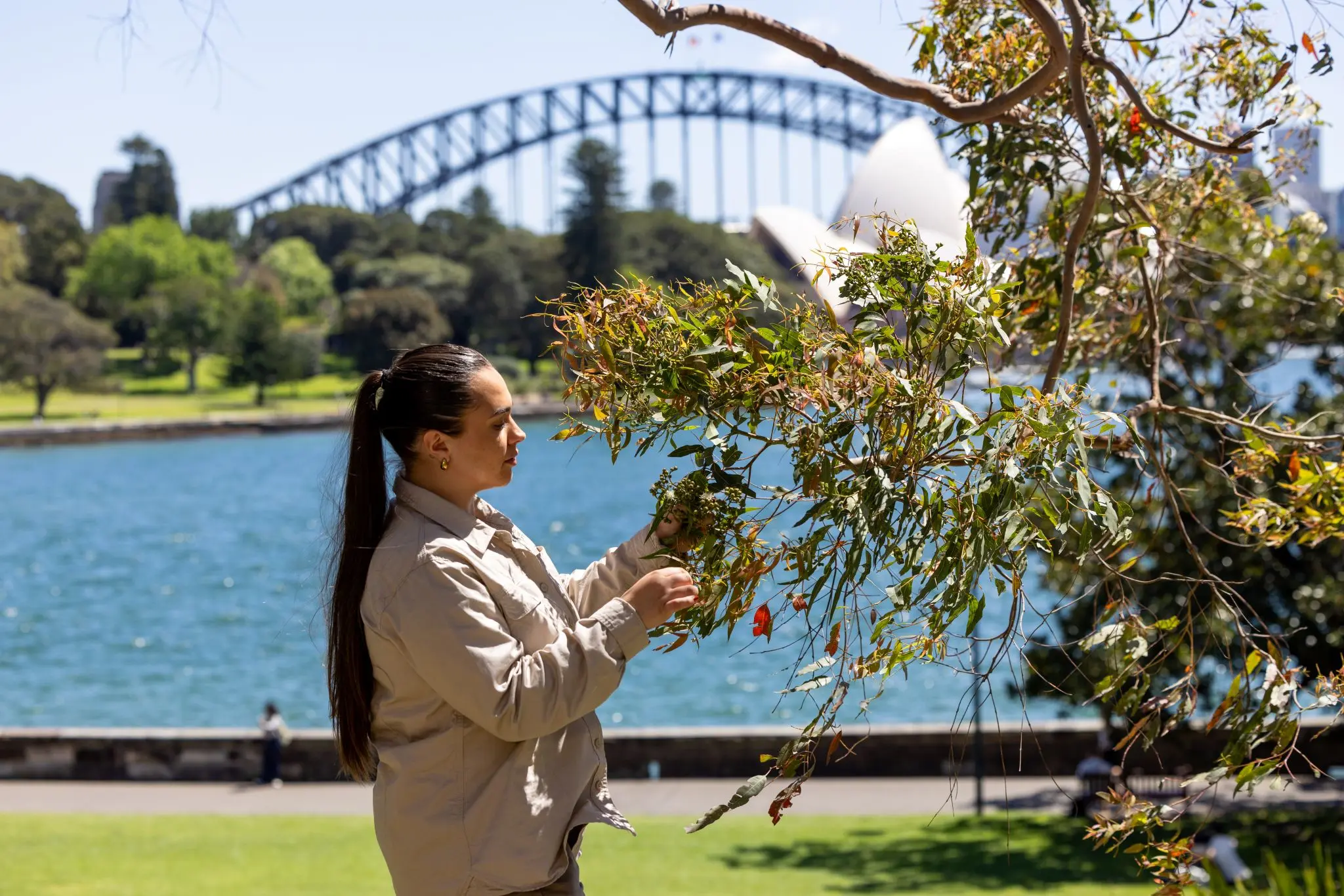 Aboriginal Harbour Heritage Tour, The Royal Botanic Garden Sydney, NSW © The Royal Botanic Garden Sydney