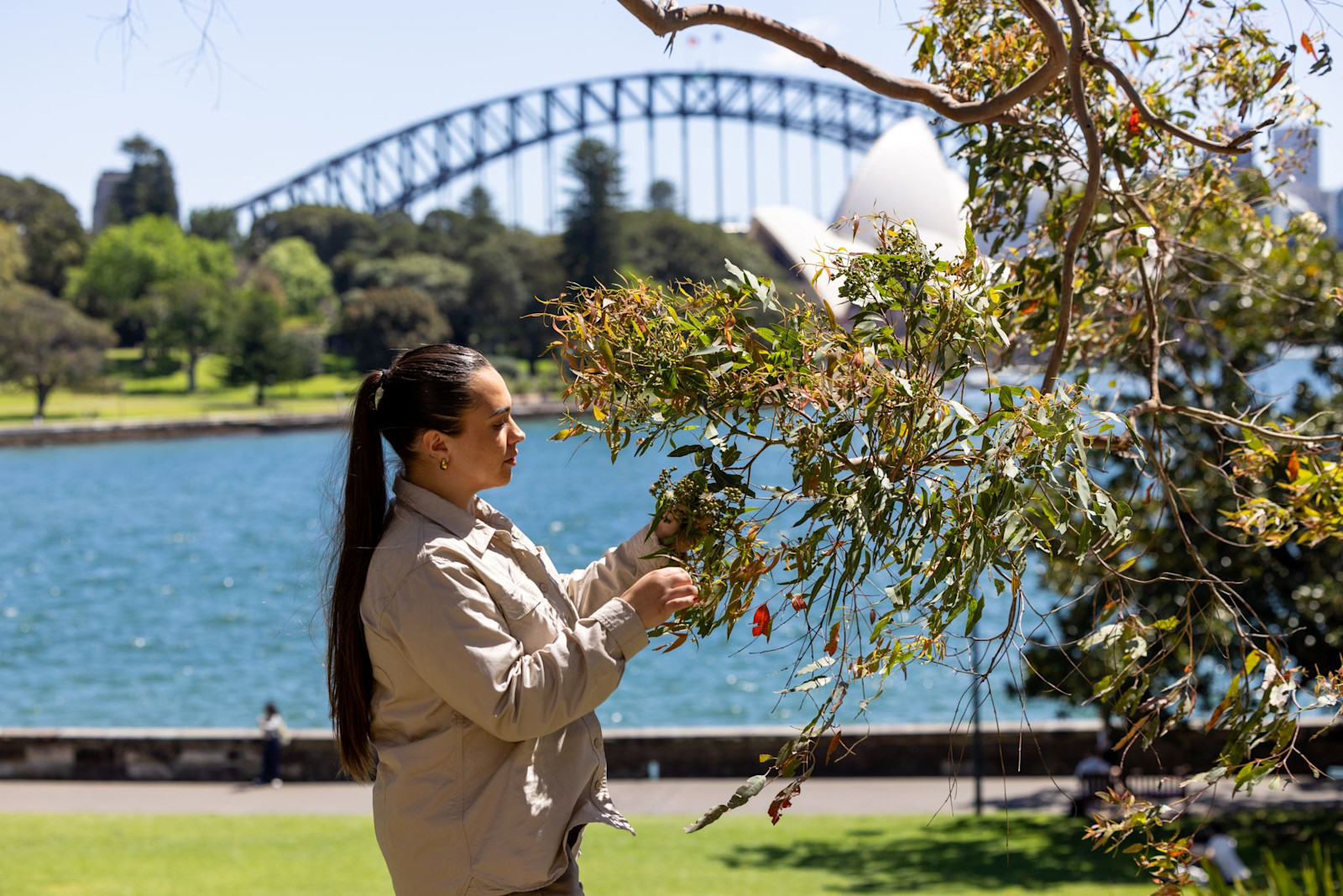 Aboriginal Harbour Heritage Tour, The Royal Botanic Garden Sydney, NSW © The Royal Botanic Garden Sydney
