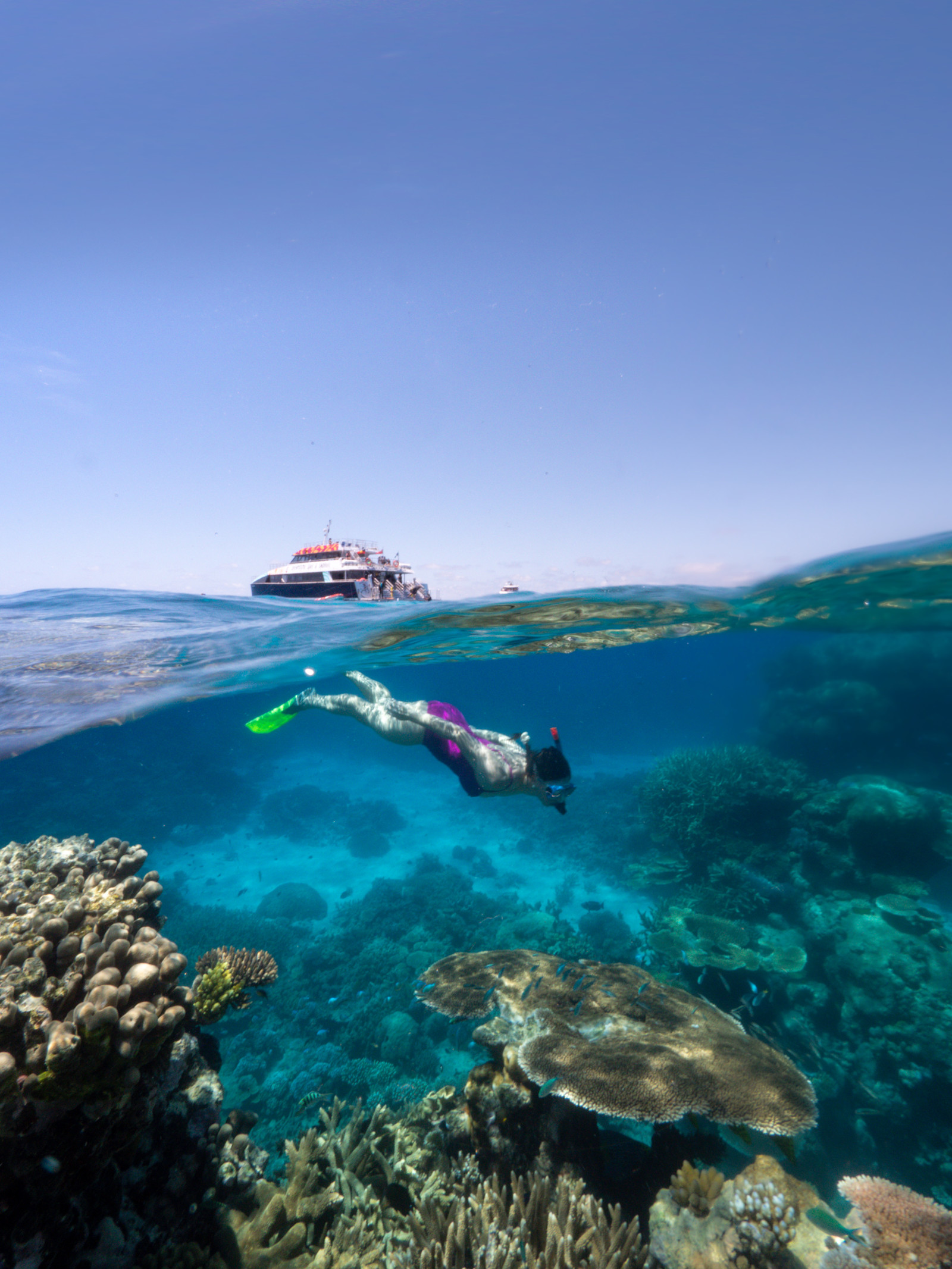 Snorkelling the Great Barrier Reef, Queensland, with Dreamtime Dive & Snorkel © Tourism Australia