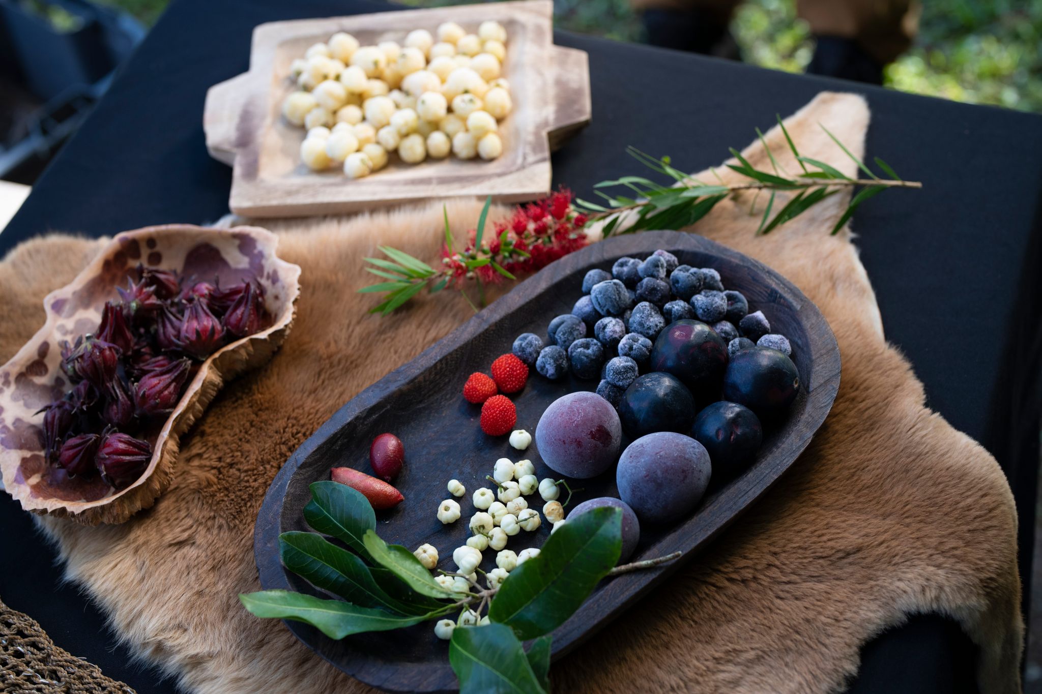 A bounty of native produce foraged with Explore Byron Bay, New South Wales © Tourism Australia