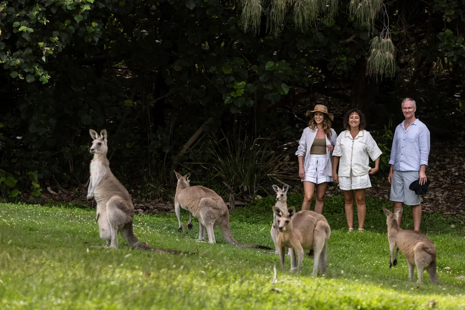Wildlife spotting with Yura Tours, N. Stradbroke Island / Minjerribah, Queensland