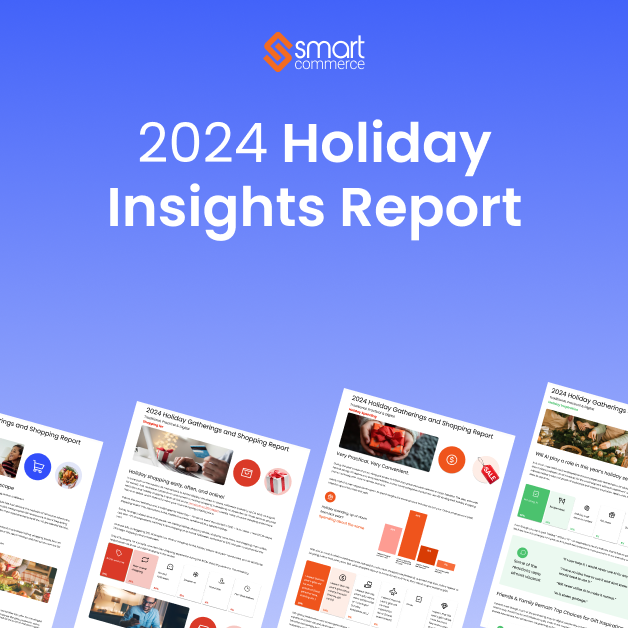 Instant Access: The 2024 Holiday Report